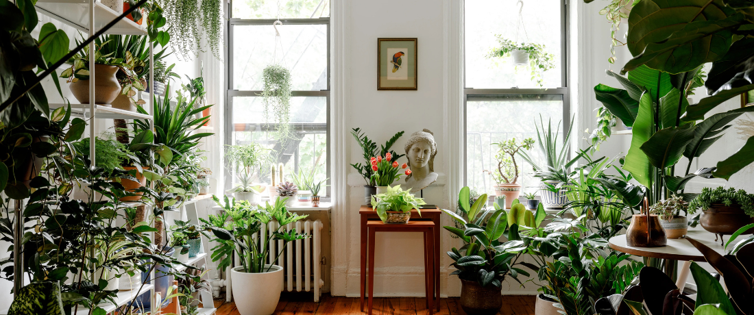 Designing Nature\'s Canvas